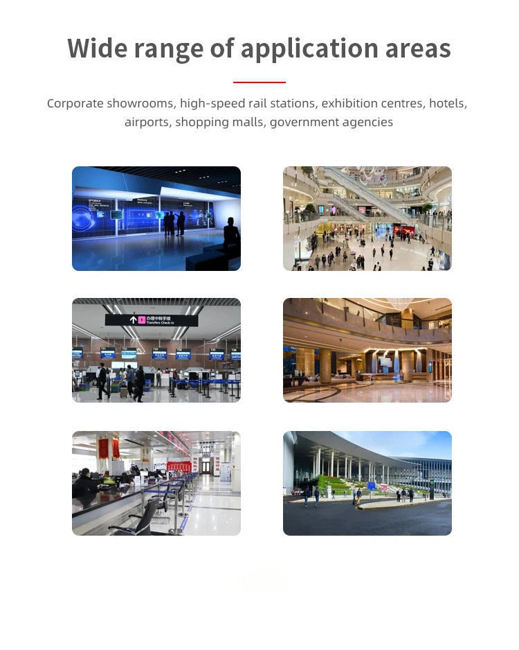 OLED Advertising Robot  G300