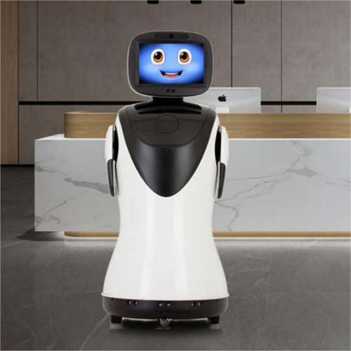 Intelligent humanoid service robot P3